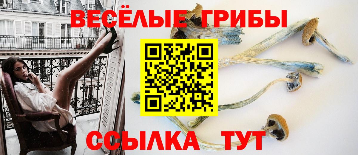 Жигулёвск  Галлюциногенные грибы GOLDEN TEACHER  Вход с VPN 