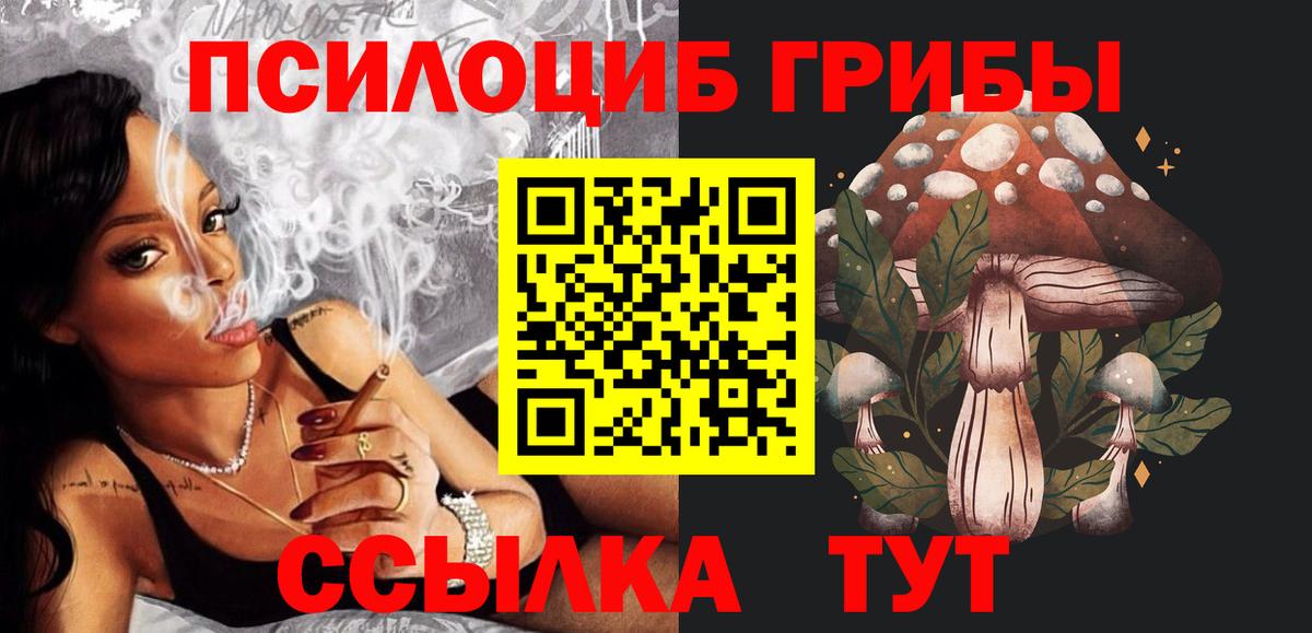 Псилоцибиновые грибы Cubensis Жигулёвск